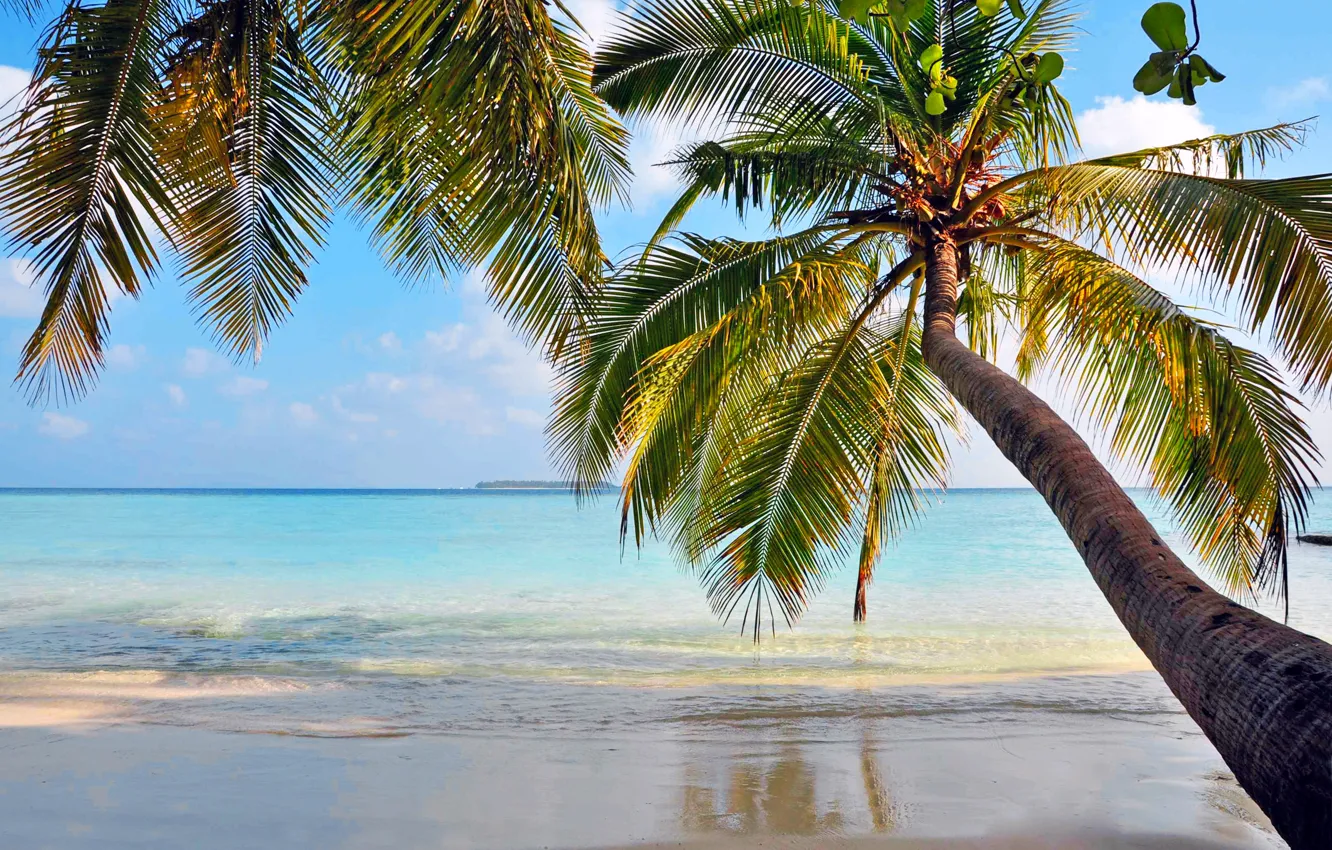 Фото обои море, пляж, тропики, пальмы, отдых, остров