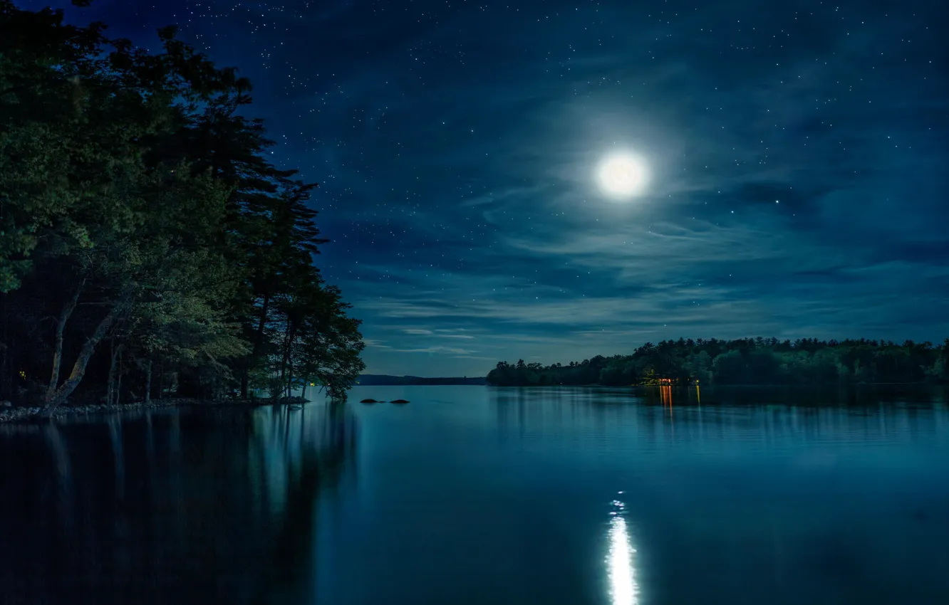 Фото обои лес, небо, звезды, ночь, природа, озеро, луна