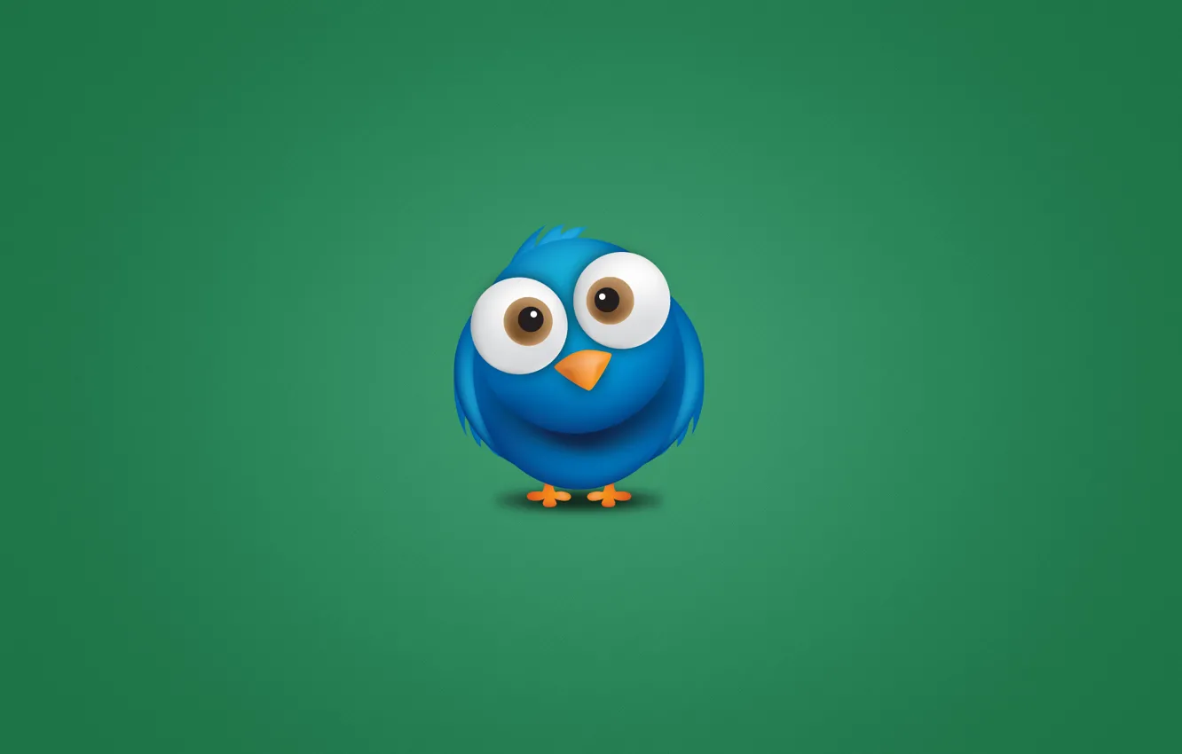 Фото обои синий, животное, птица, минимализм, глазастая, Twitter, птаха