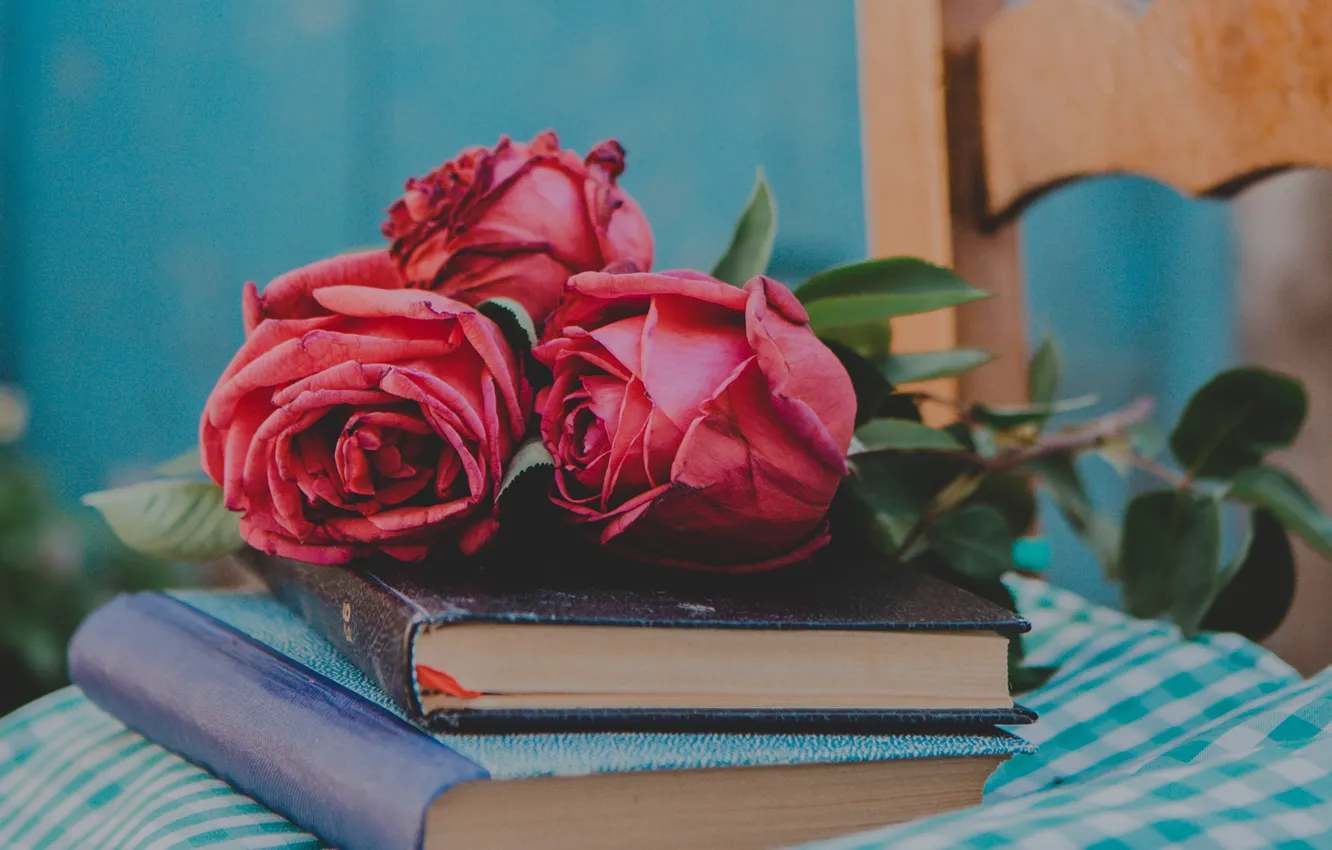 Фото обои стиль, книги, розы, бутоны