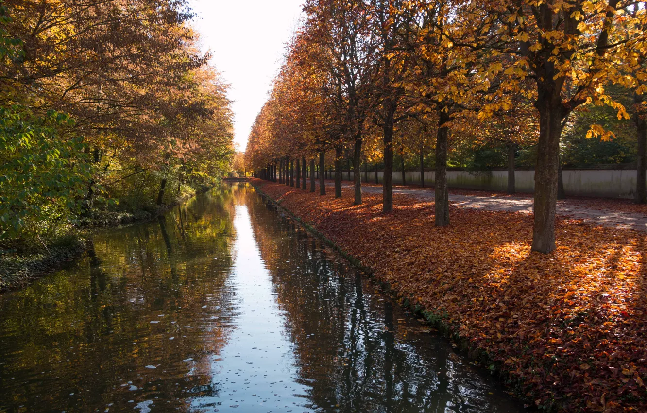 Фото обои осень, парк, Германия, Шветцинген