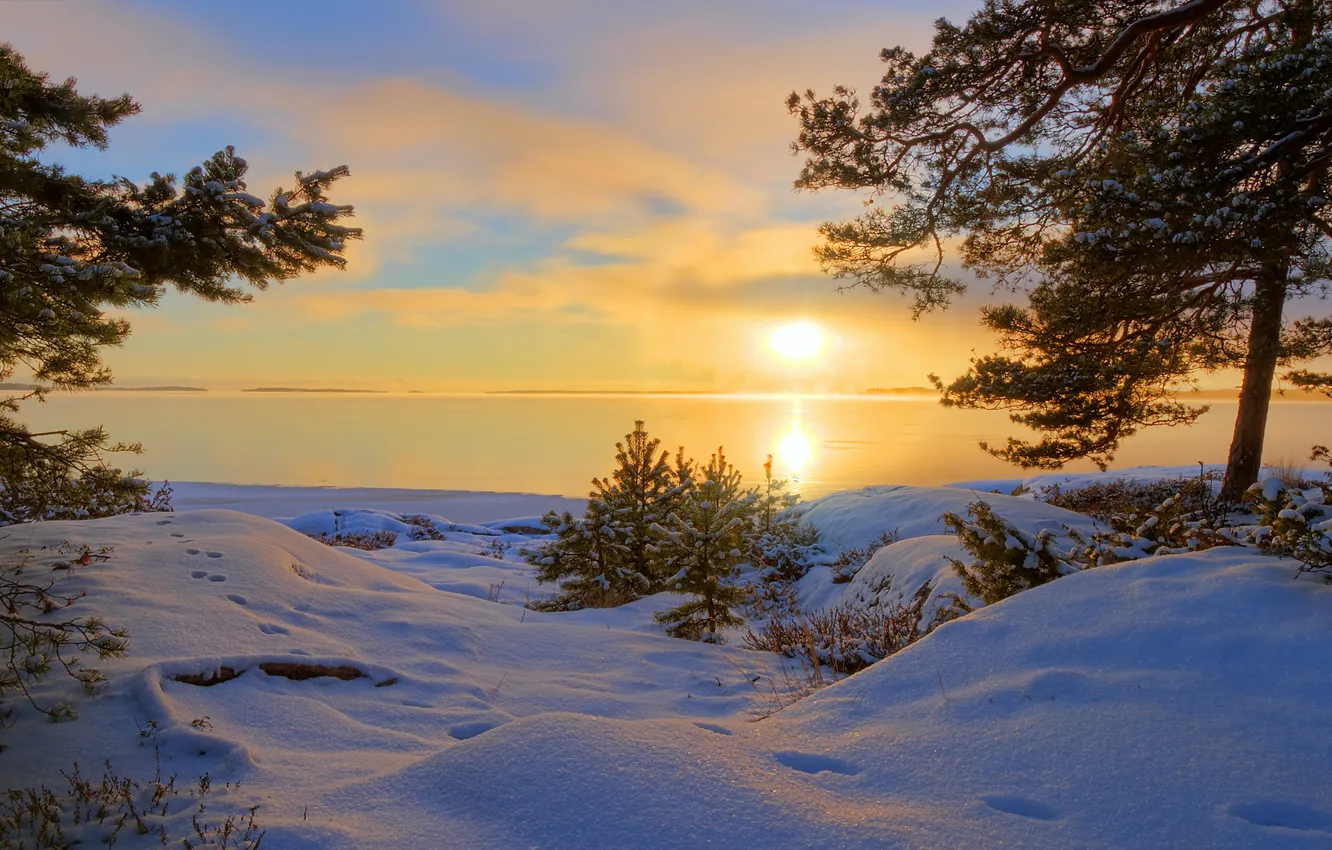Фото обои зима, снег, деревья, следы, озеро, вечер