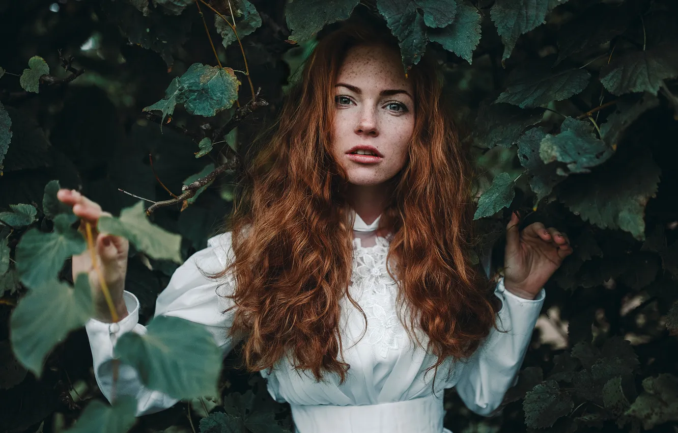 Фото обои Girl, Green, Color, Eyes, Portrait, Leaves, Redheaded, Оксана Бутовская