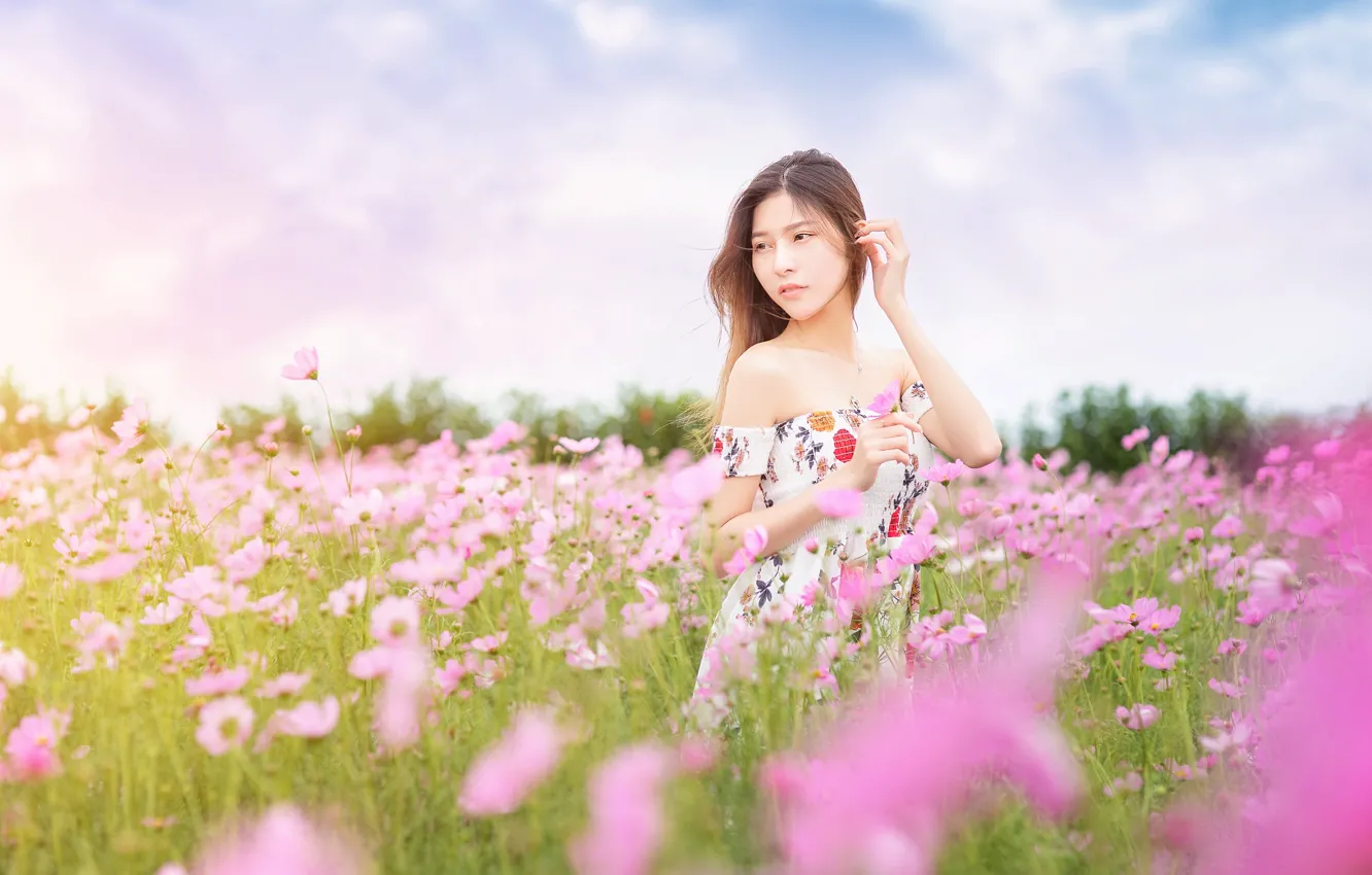 Фото обои поле, лето, небо, взгляд, девушка, цветы, поза, платье