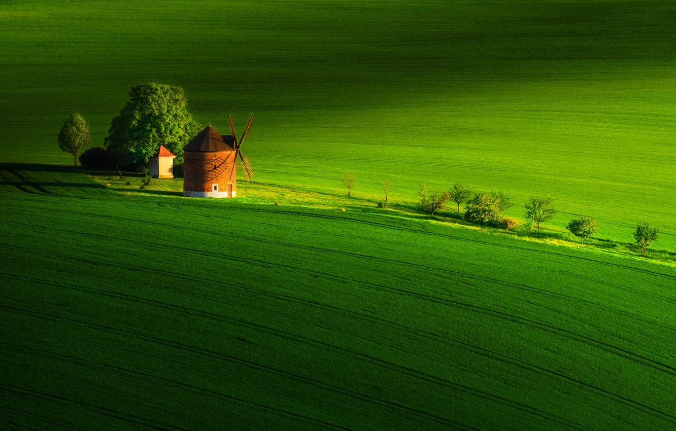 Фото обои green, photography, trees, field, landscape, nature, windmill, mill