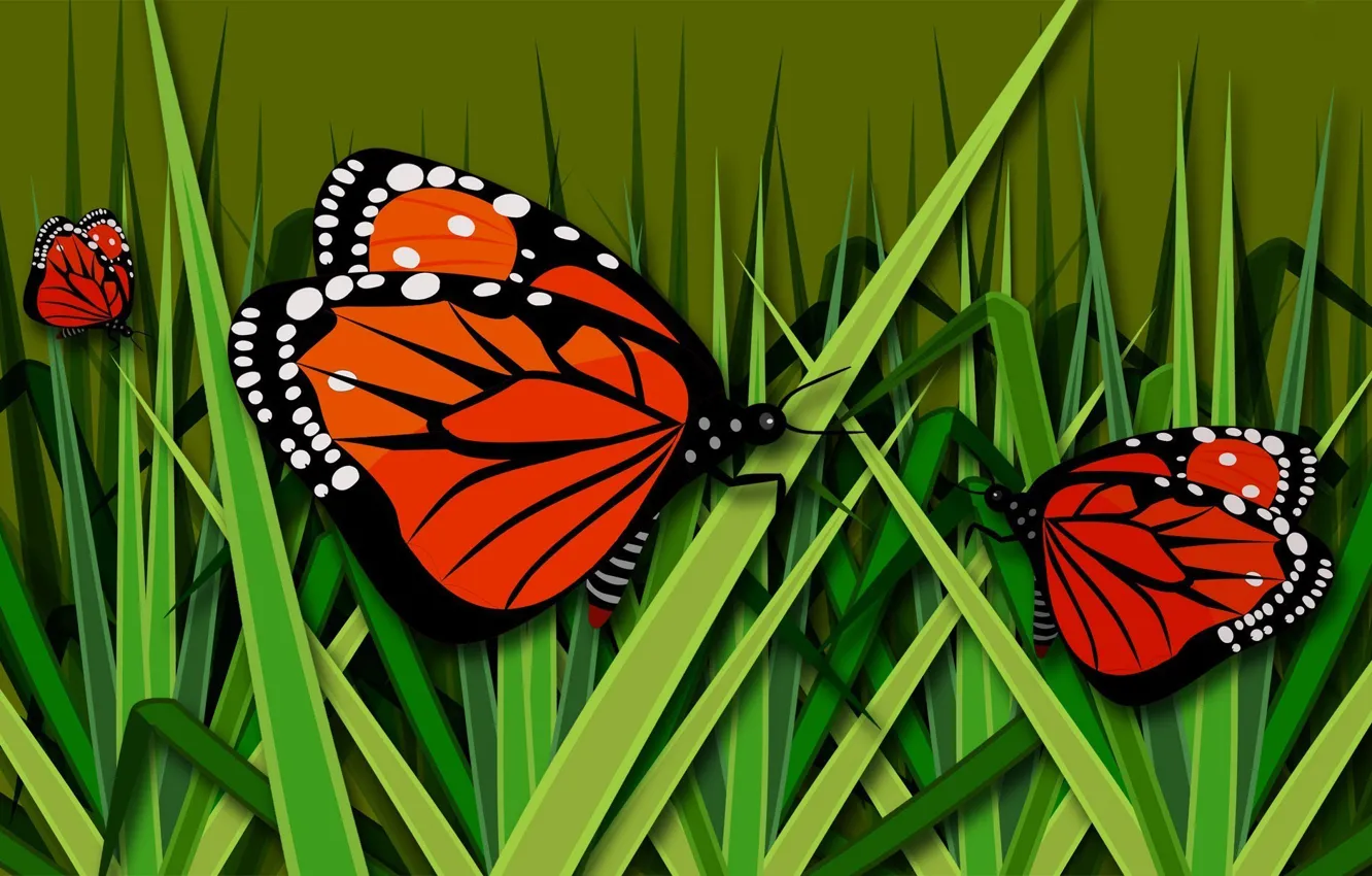 Фото обои трава, бабочка, рисунок, вектор