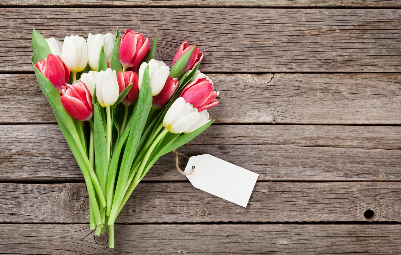 Фото обои цветы, букет, тюльпаны, red, white, wood, flowers, tulips