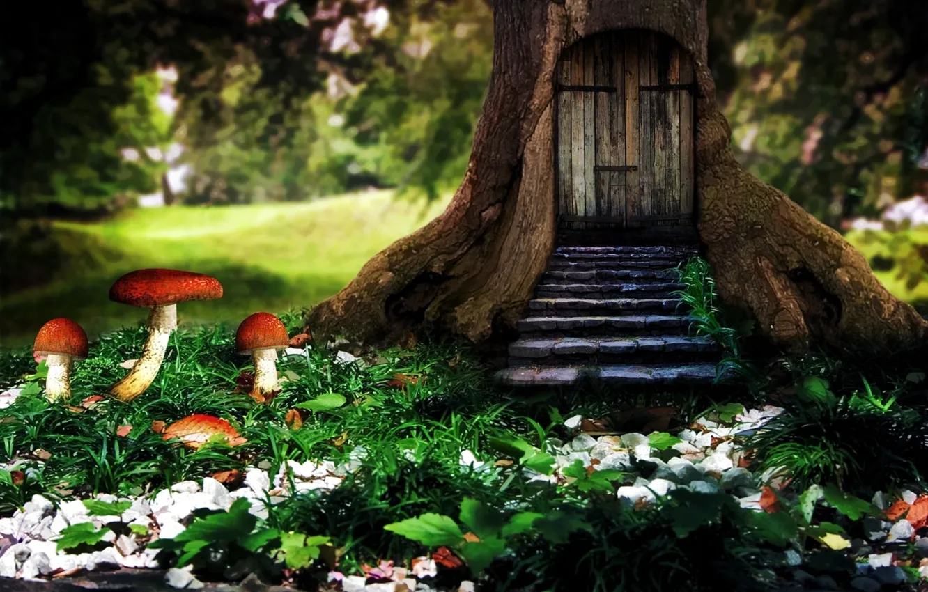 Фото обои дом, дерево, грибы, house, tree, mushrooms