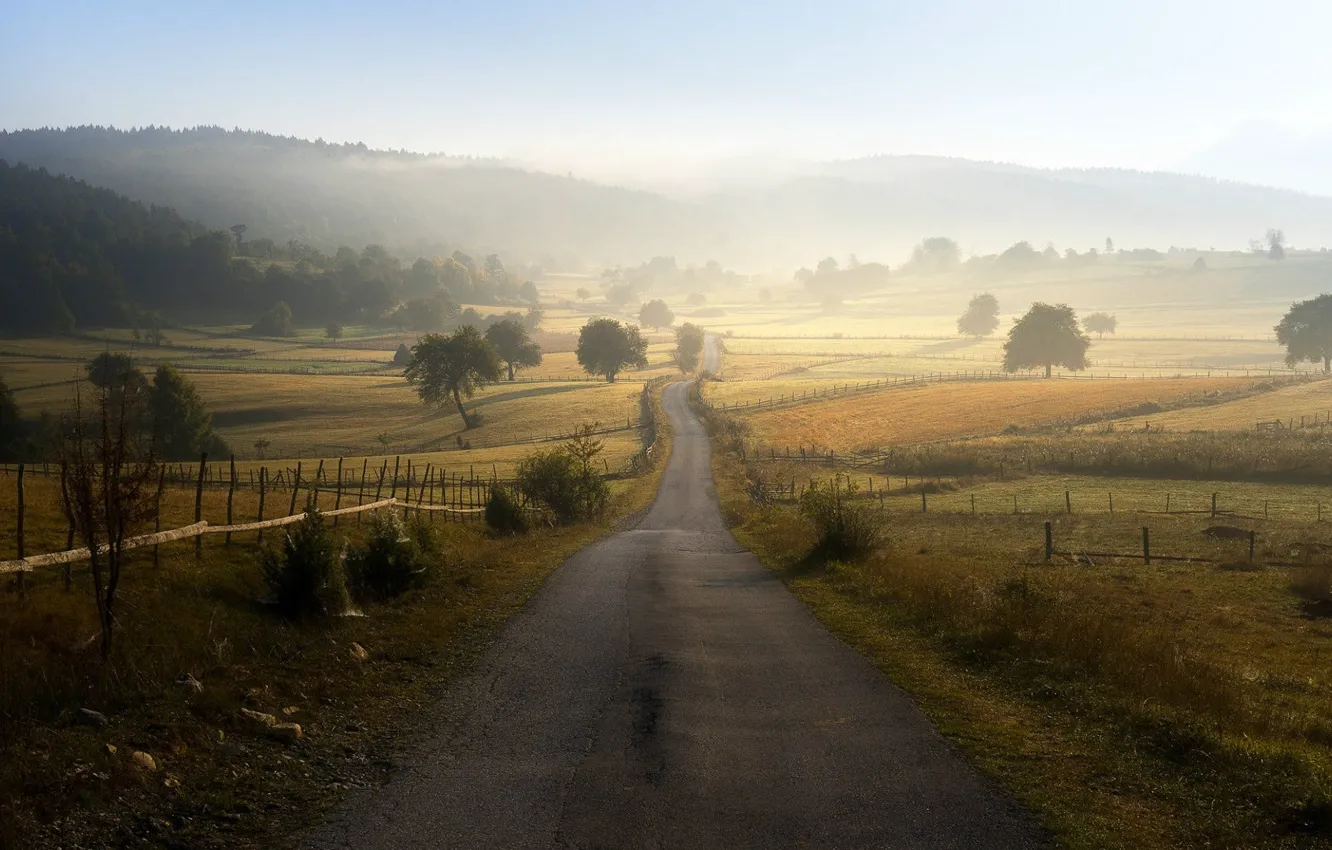 Фото обои road, trees, field, landscape, nature, morning, hills, mist