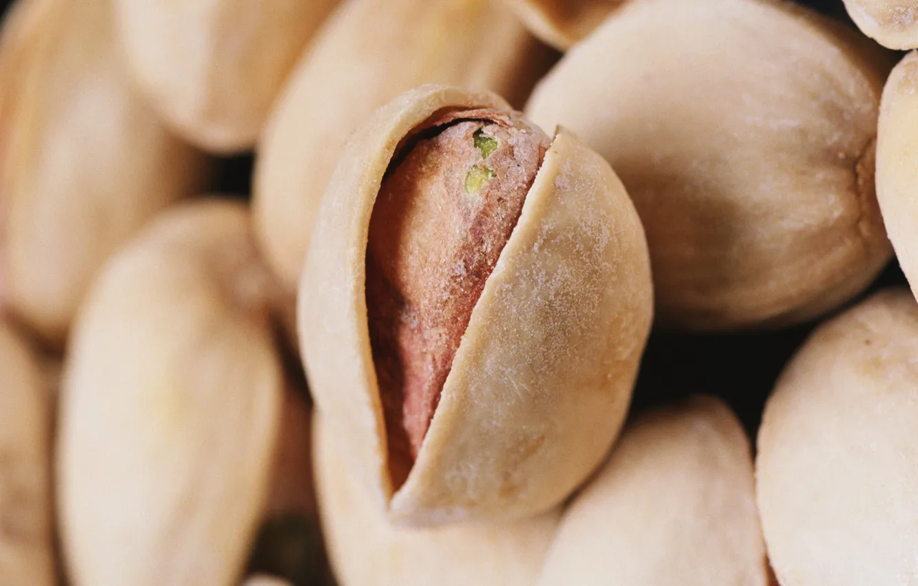 Фото обои макро, орехи, macro, вкусно, фисташки, pistachios