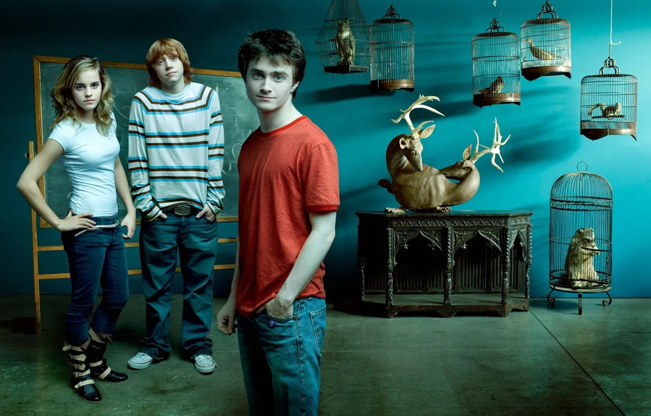 Фото обои Гарри Поттер, Эмма Уотсон, Emma Watson, Дэниэл Рэдклифф, Harry Potter, Hermione Granger, Daniel Radcliffe, Rupert …