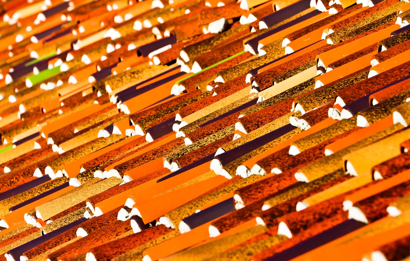 Фото обои крыша, черепица, кровля