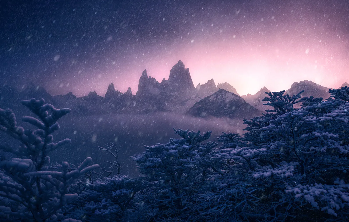 Фото обои зима, снег, деревья, горы, Argentina, Аргентина, Анды, Patagonia