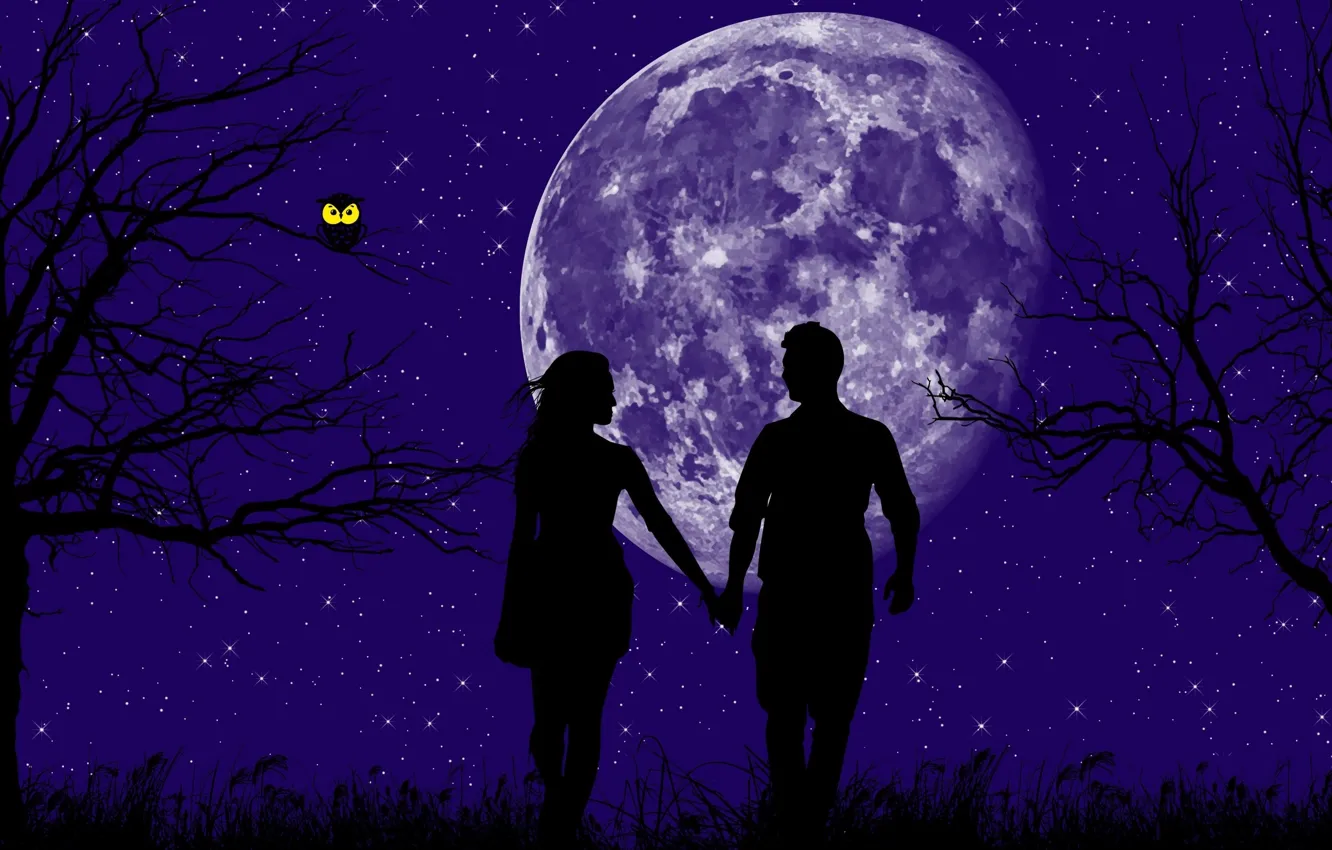 Фото обои звезды, деревья, любовь, сова, планета, love, волшебная ночь, мужчина и женщина