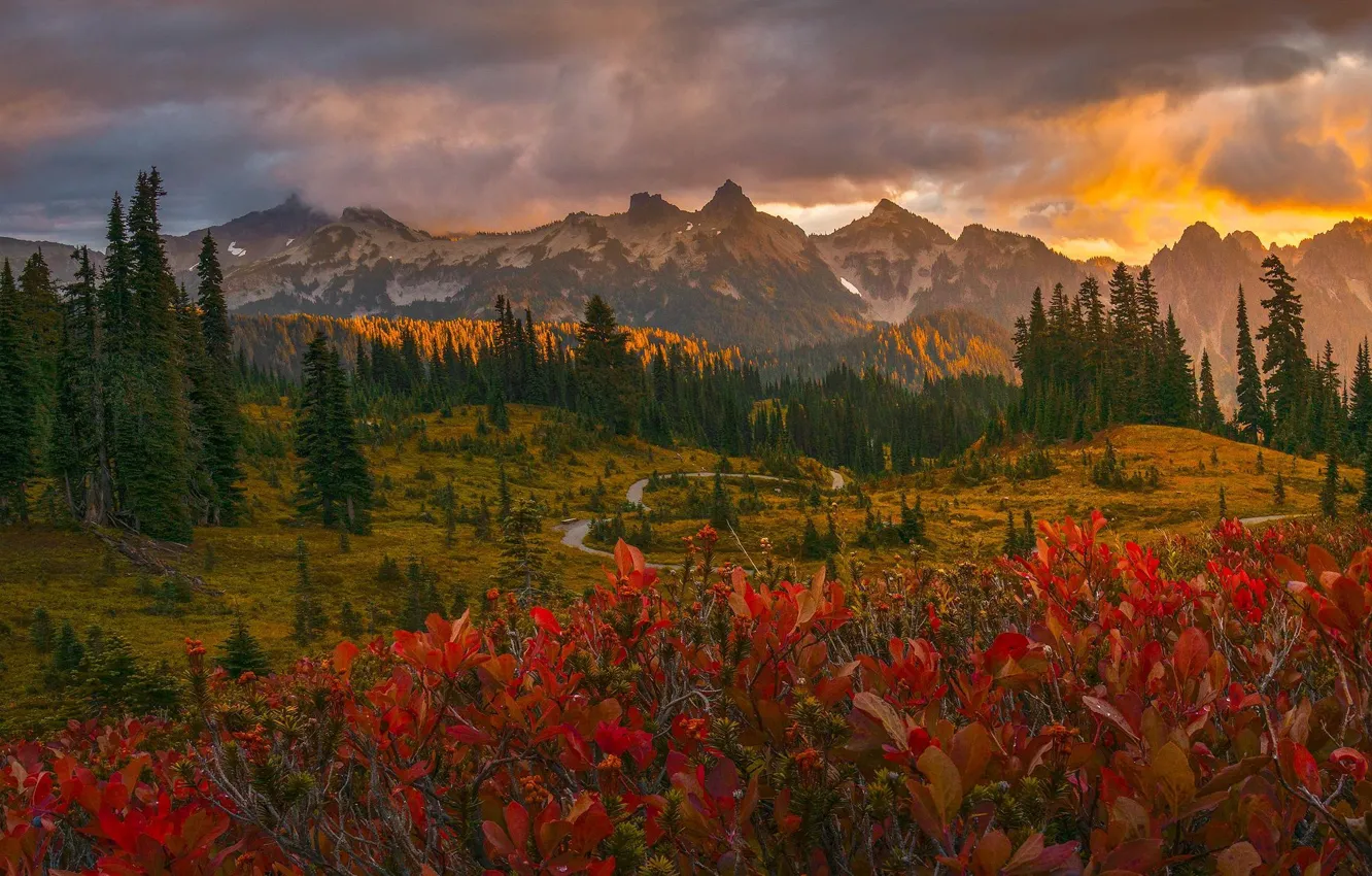 Фото обои дорога, осень, деревья, пейзаж, закат, горы, тучи, природа