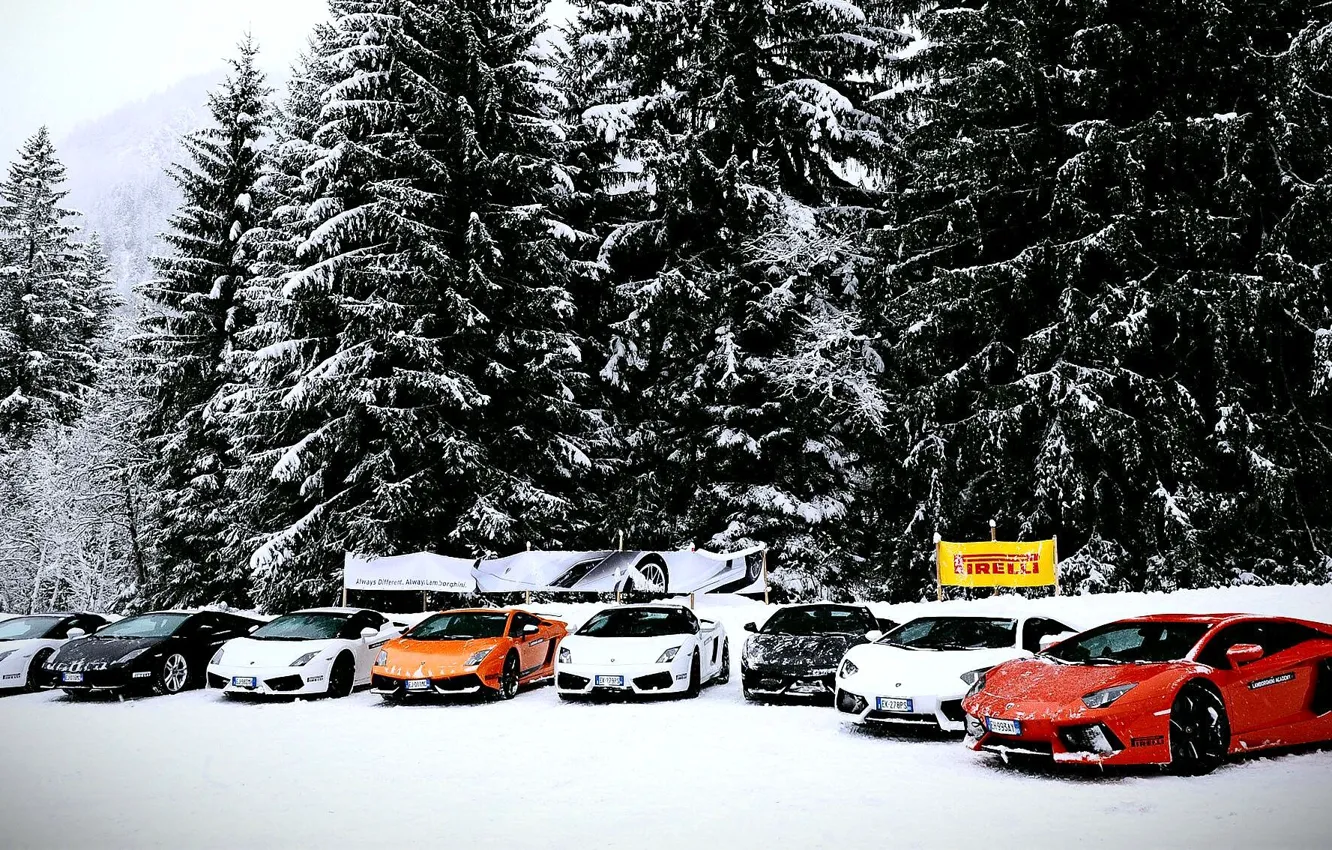 Фото обои Lamborghini, Gallardo, cars, snow, Aventador, mix
