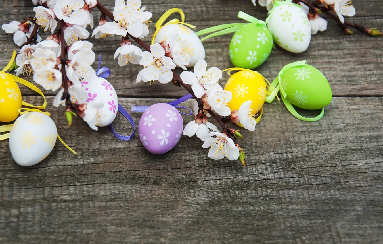 Фото обои цветы, яйца, весна, colorful, Пасха, happy, wood, blossom