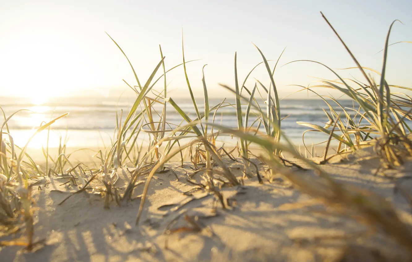 Фото обои песок, море, пляж, небо, трава, солнце, макро, радость