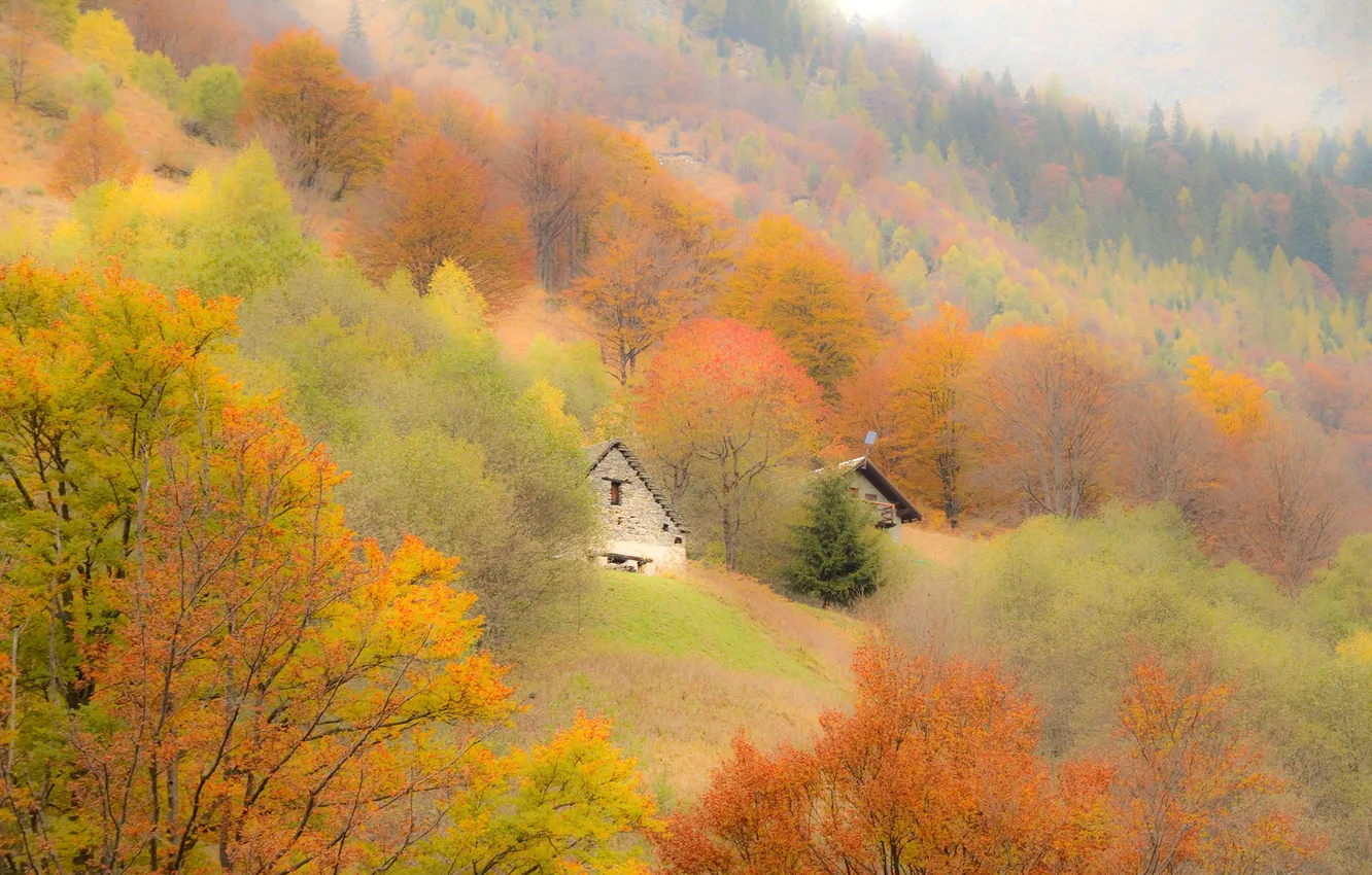 Фото обои осень, деревья, горы, дом, склон