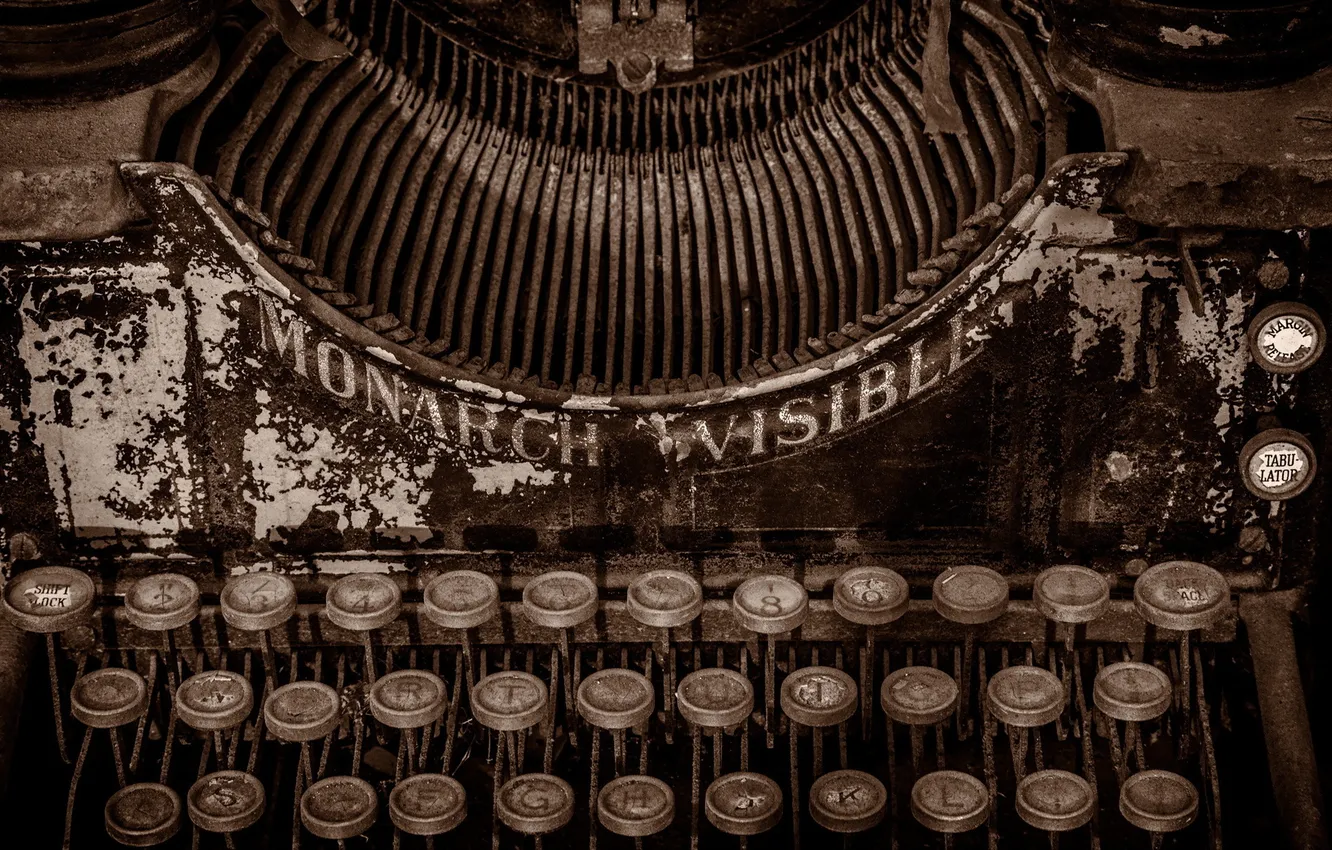 Фото обои macro, Typewriter, Monarch