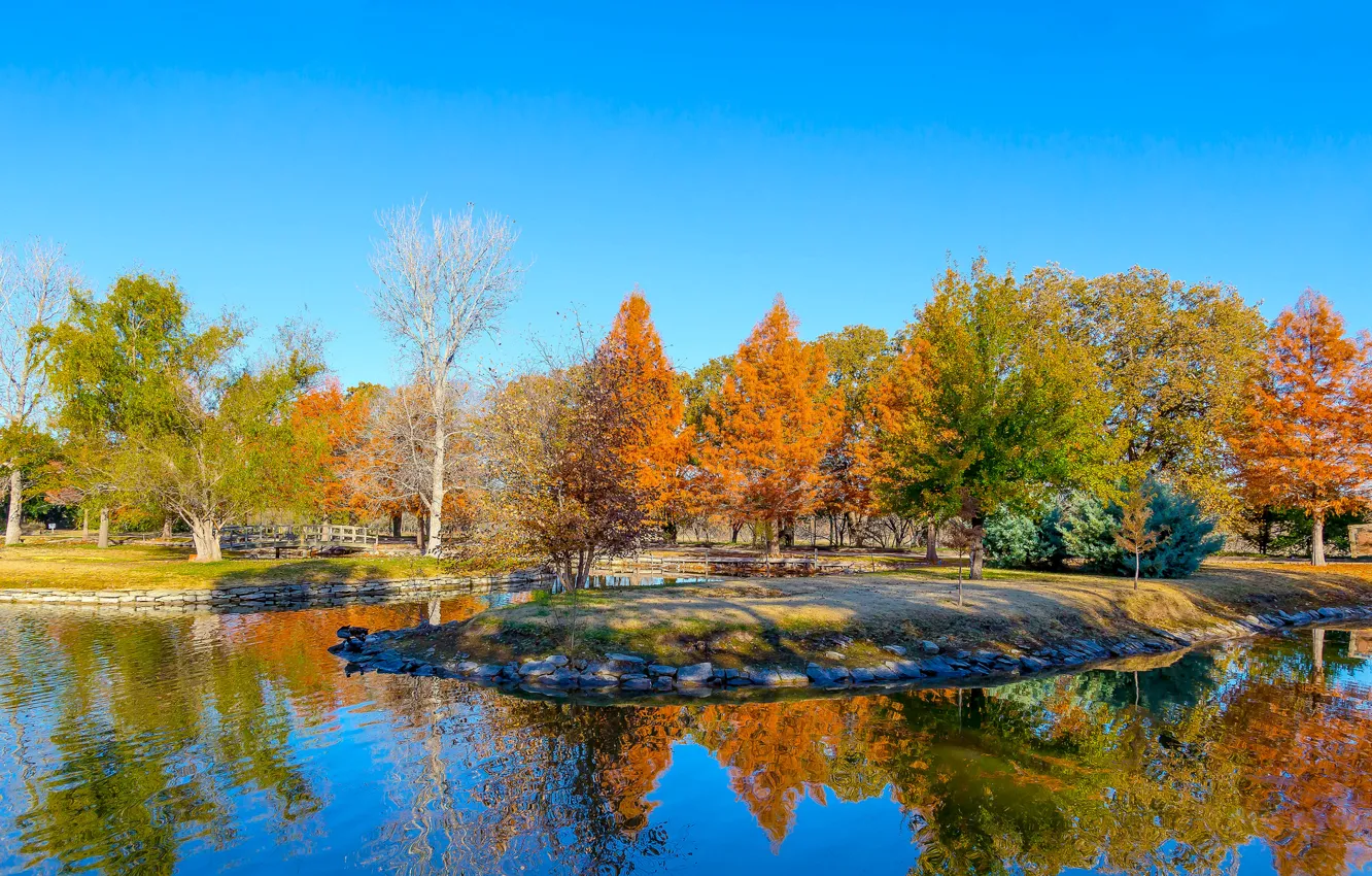 Фото обои листья, деревья, пруд, США, Техас, Clark Gardens, ботанический парк, багрянец осень
