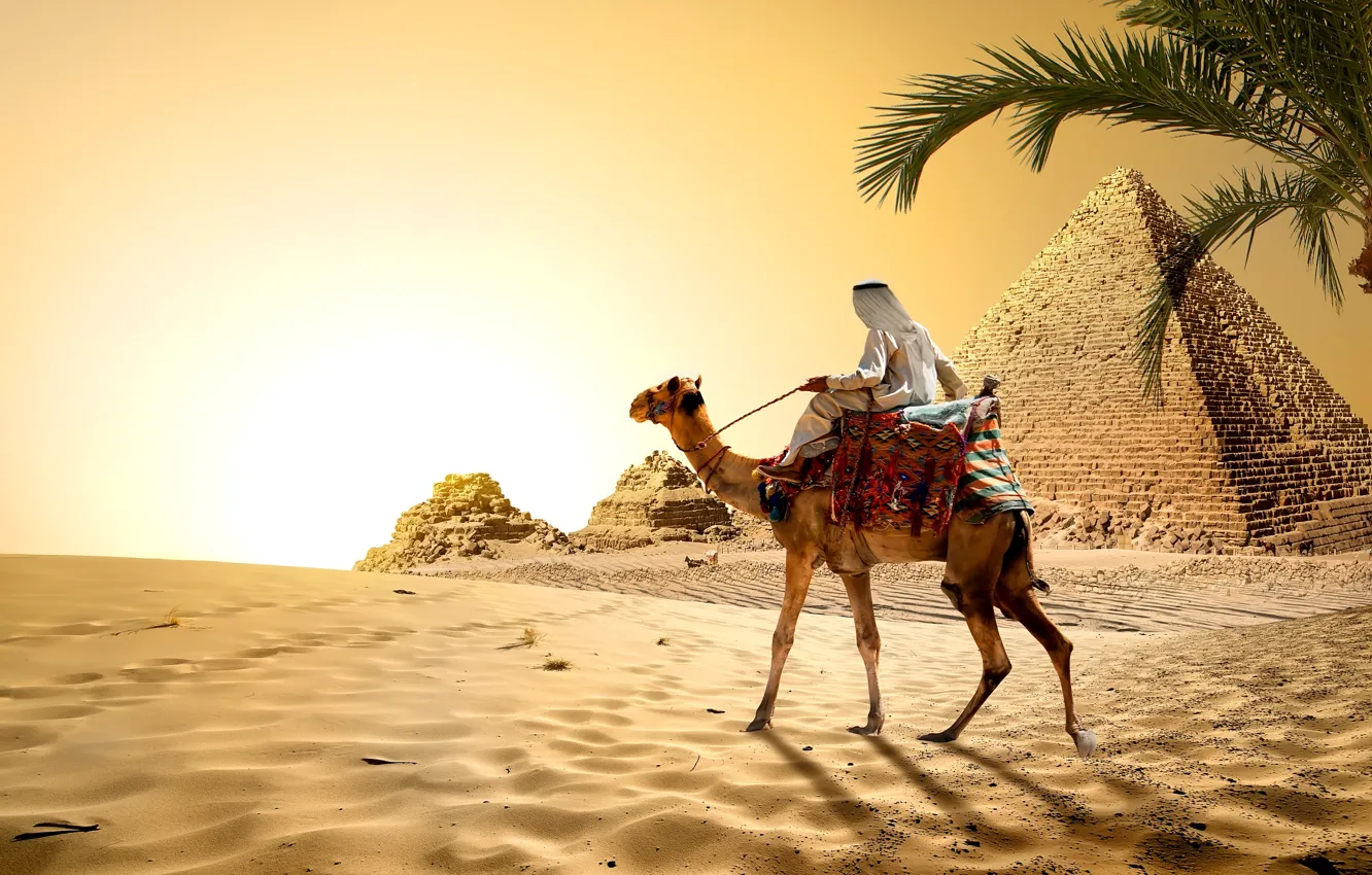 Фото обои песок, небо, солнце, пальма, камни, пустыня, жара, верблюд