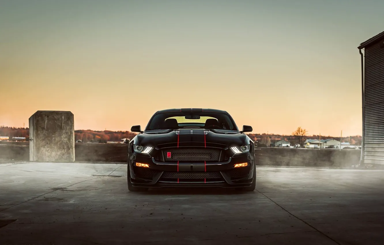 Фото обои Mustang, Ford, Shelby, Black, Night, 2016, GT350r