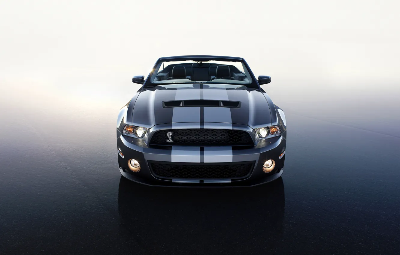 Фото обои Ford, Shelby, 2010, GT 500