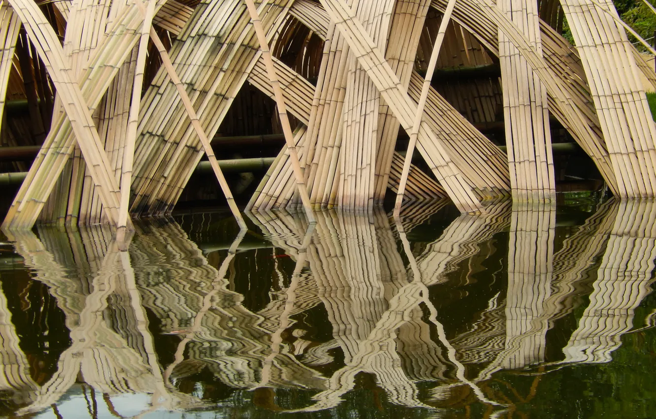 Фото обои вода, отражение, widescreen, обои, бамбук, wallpaper, широкоформатные, background