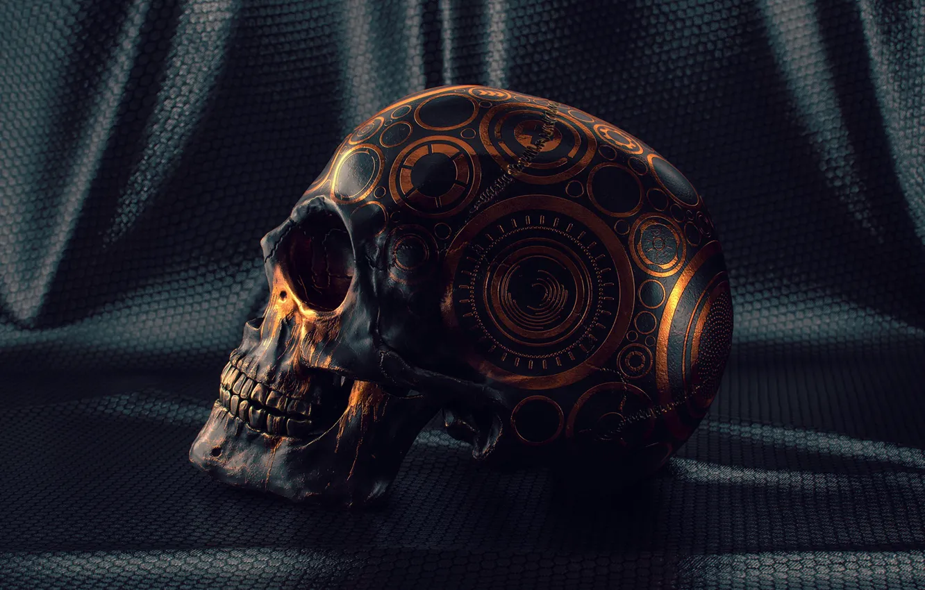 Фото обои узоры, череп, зубы, материал, Skull Study