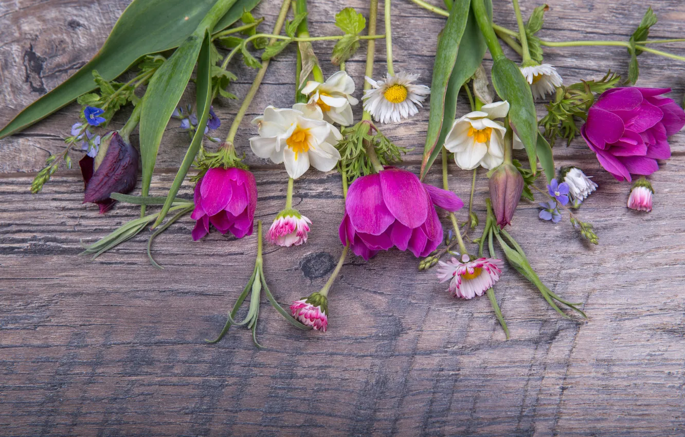 Фото обои цветы, букет, весна, colorful, тюльпаны, бутоны, wood, pink