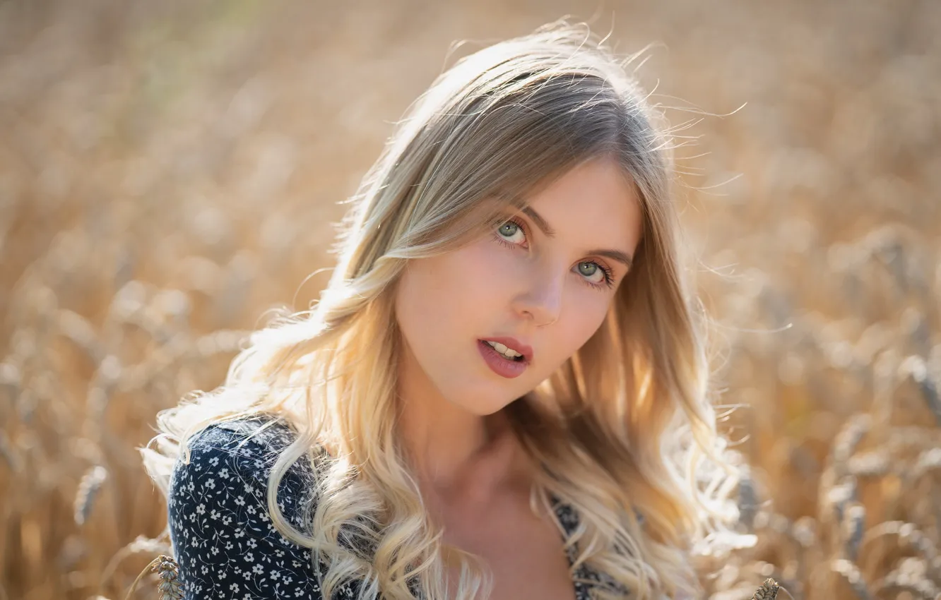 Фото обои взгляд, девушка, лицо, модель