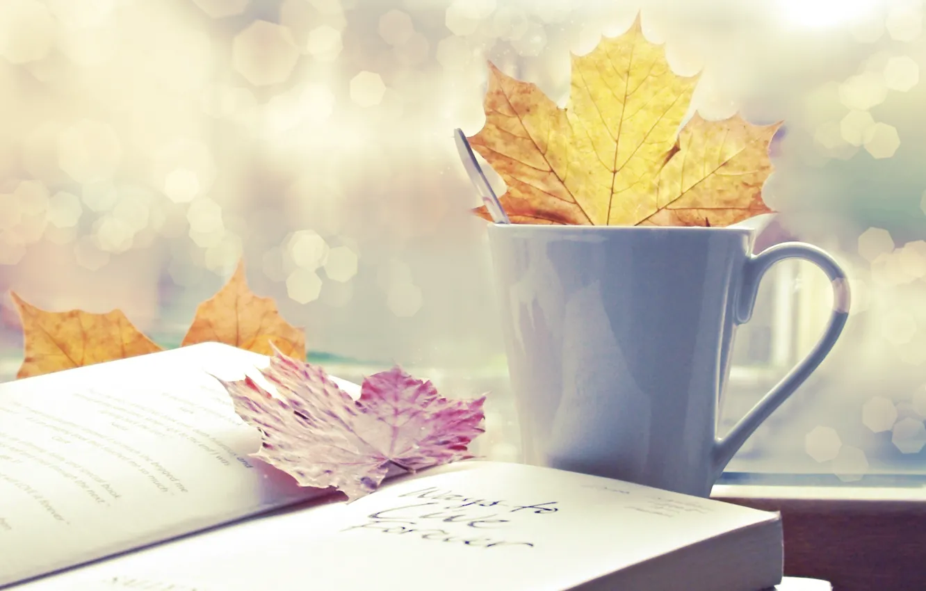 Фото обои осень, листья, чашка, книга, autumn, bokeh