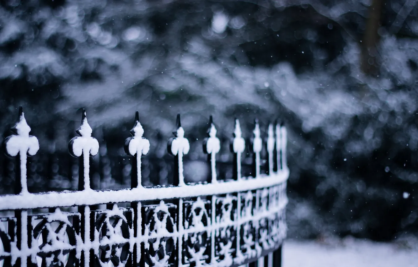 Фото обои макро, улица, забор