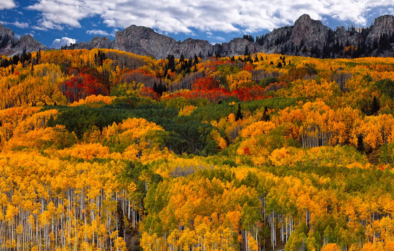 Фото обои осень, лес, небо, облака, горы, краски