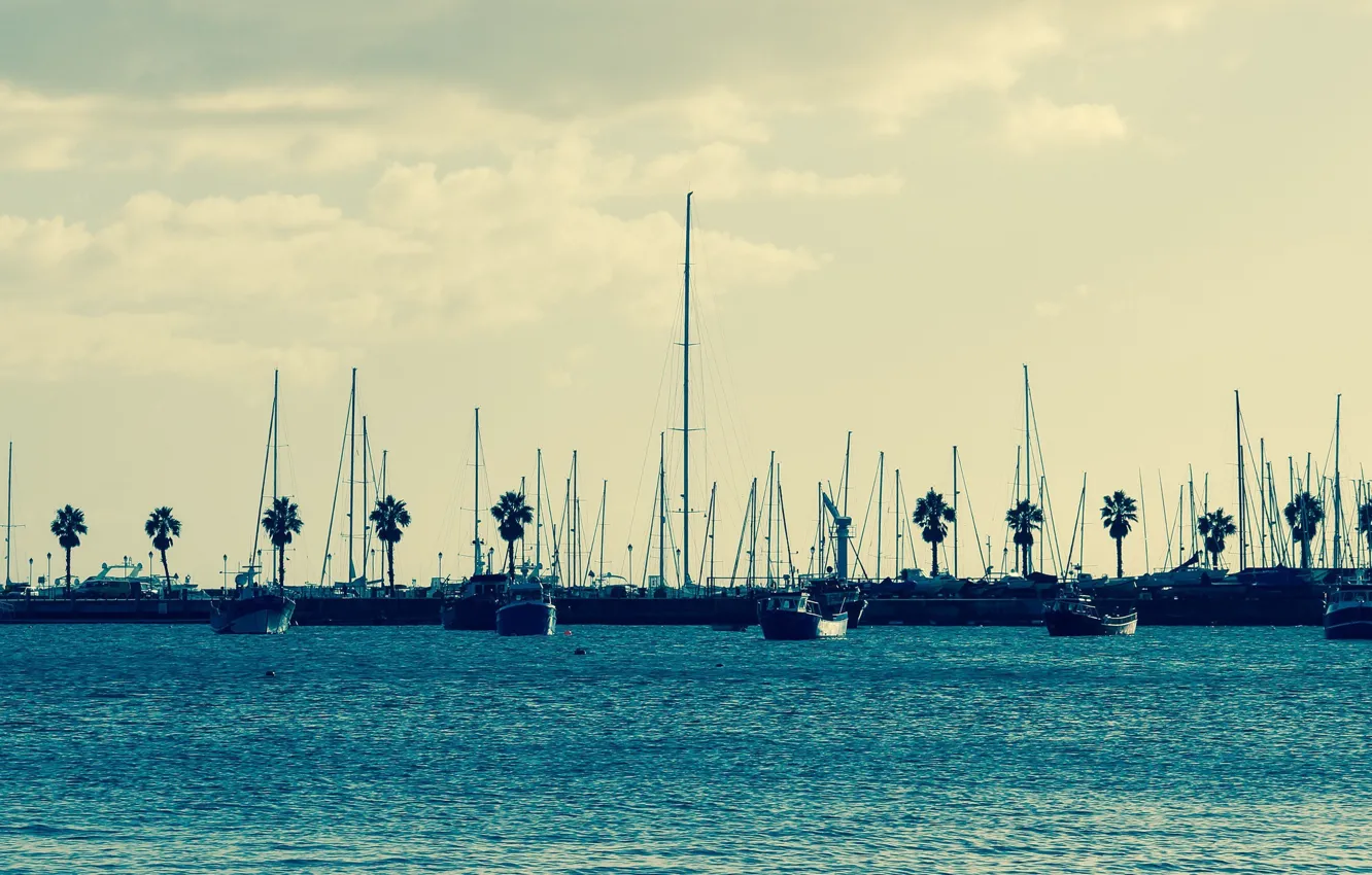 Фото обои пристань, яхты, утро, California, San Diego, sunrise, мачты, sail boats