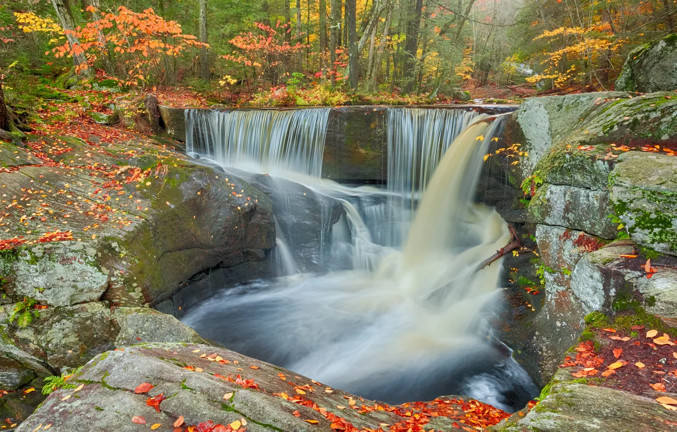 Фото обои осень, лес, листья, камни, водопад, поток, Connecticut, Коннектикут