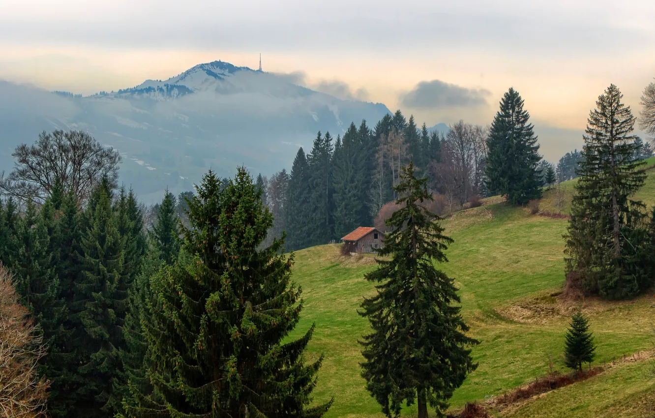 Фото обои лес, деревья, горы, туман, Германия, склон, Бавария, домик