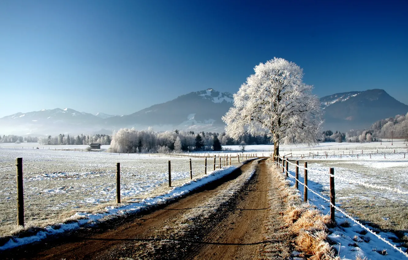 Фото обои зима, дорога, поле, снег, дерево, забор