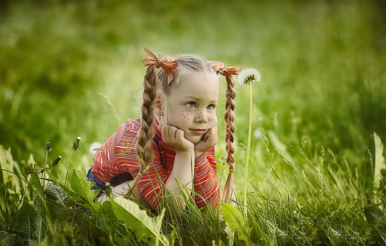 Фото обои лето, трава, взгляд, природа, девочка, веснушки, косички, бантики