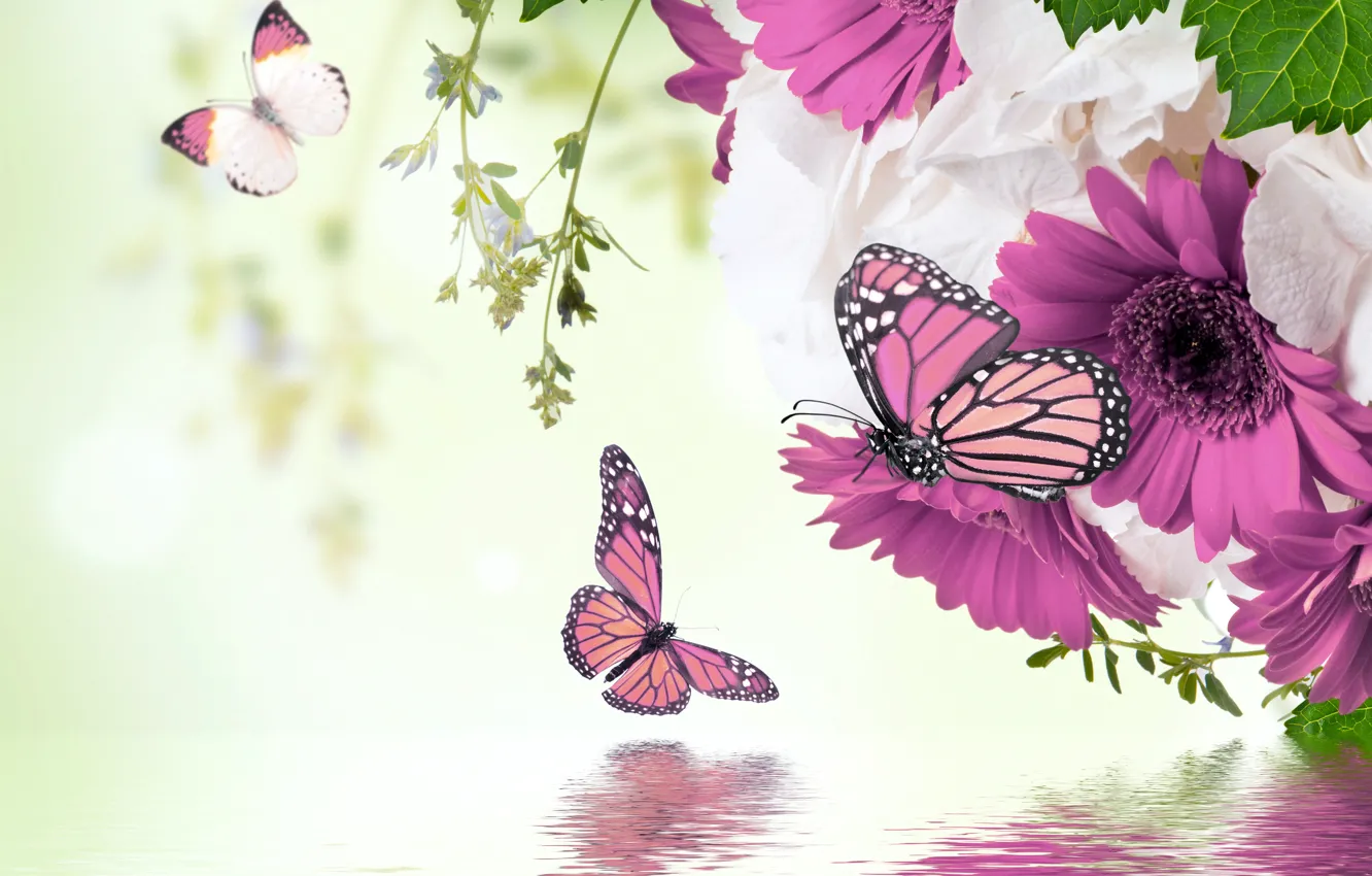 Фото обои вода, бабочки, отражение, весна, цветение, water, blossom, flowers
