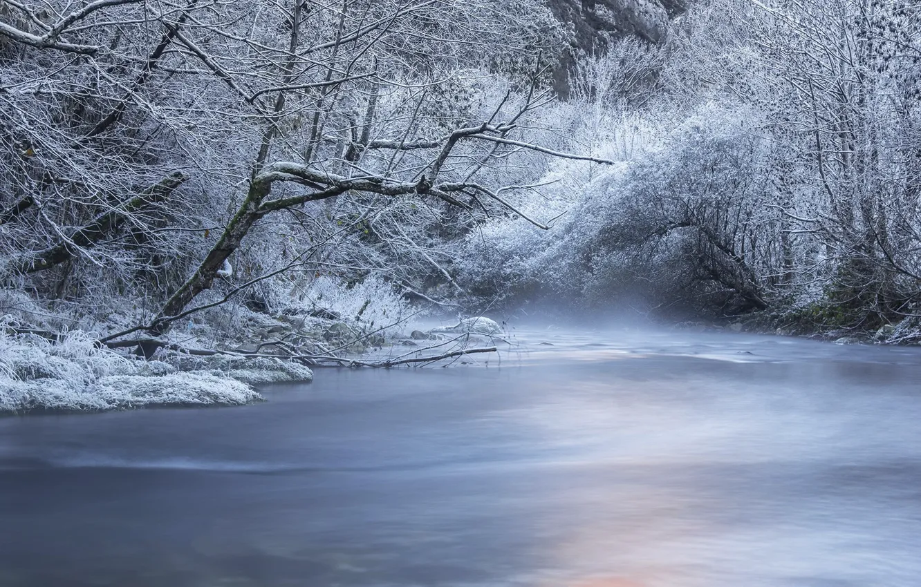 Фото обои зима, лес, снег, деревья, река
