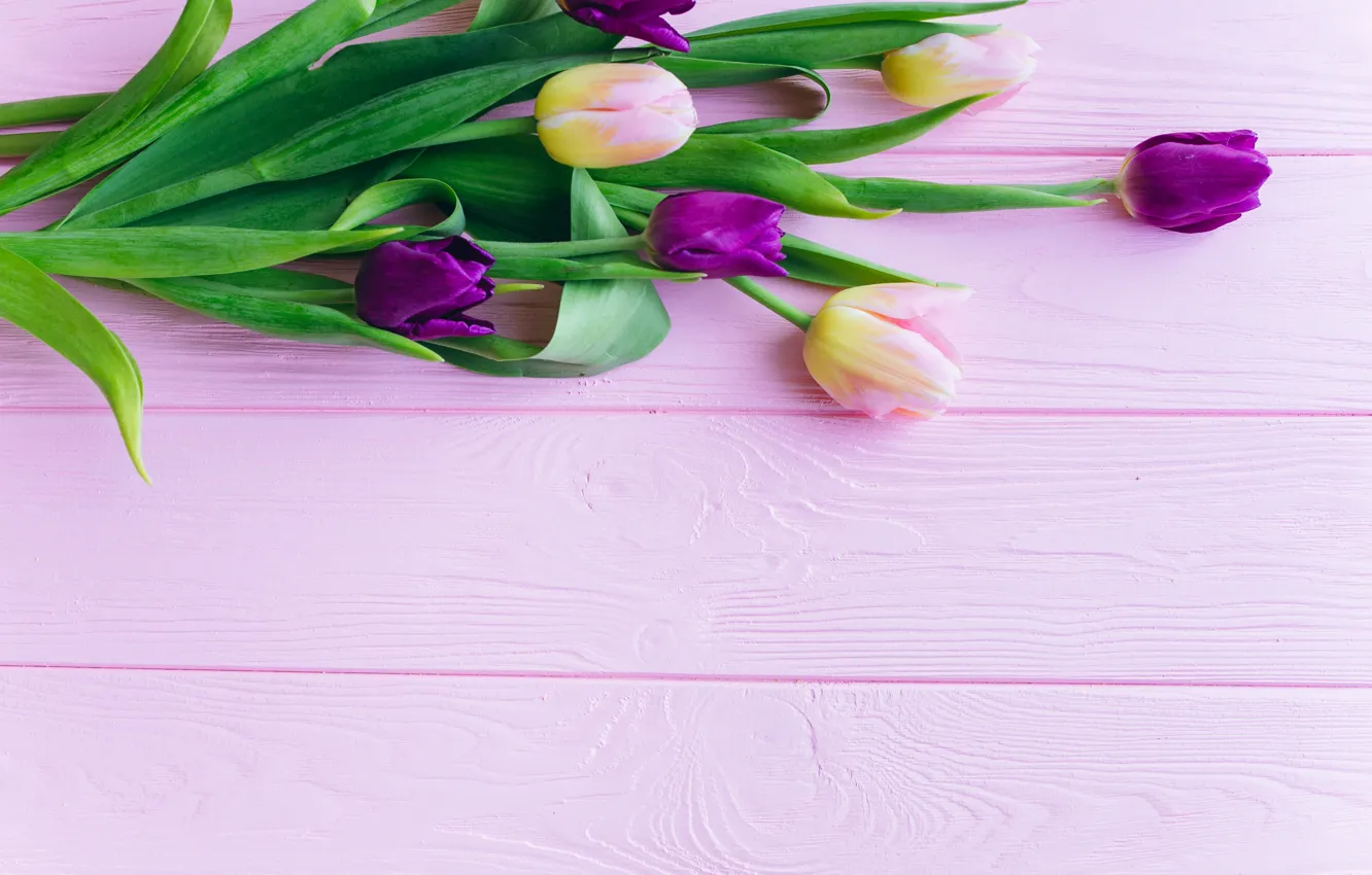 Фото обои цветы, тюльпаны, розовые, fresh, wood, pink, flowers, beautiful
