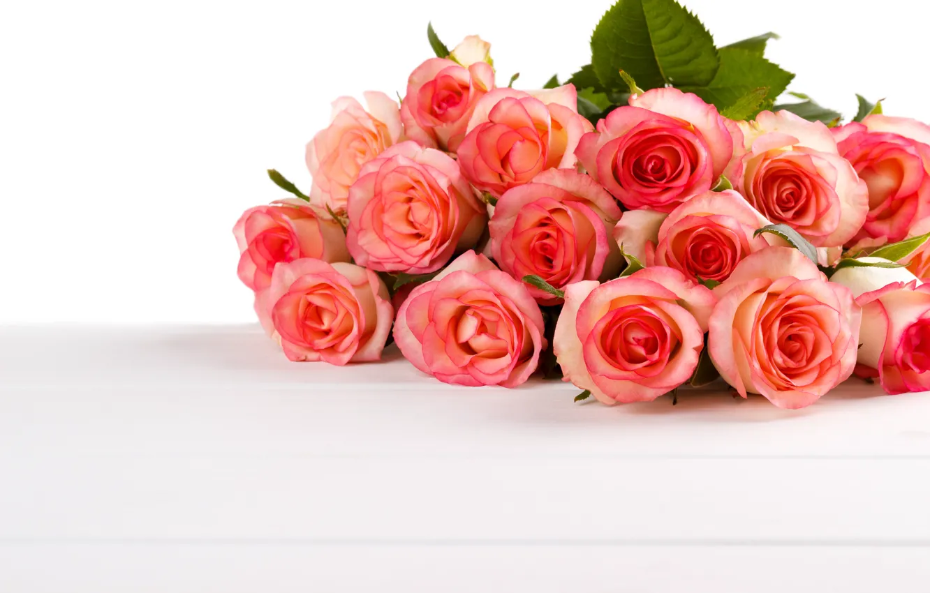 Фото обои белый, фон, розы, букет, бутоны, roses, bouguet