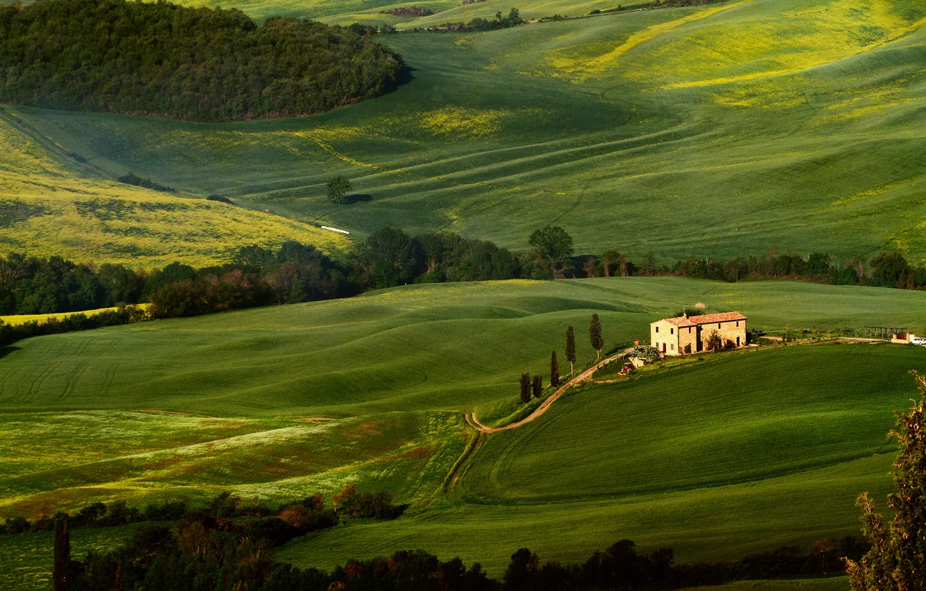 Фото обои зелень, деревья, поля, Тоскана