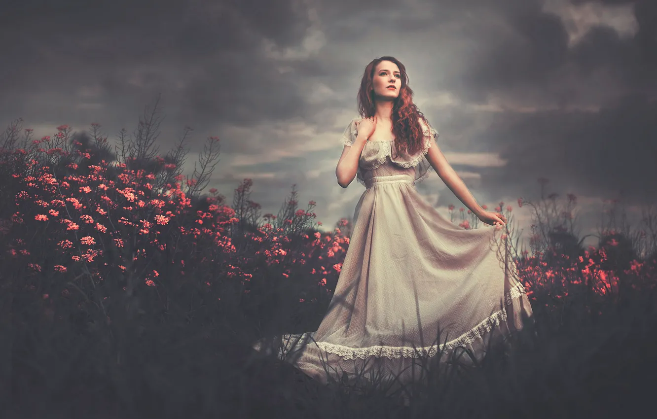 Фото обои поле, девушка, цветы, платье, Echoes of the Heart