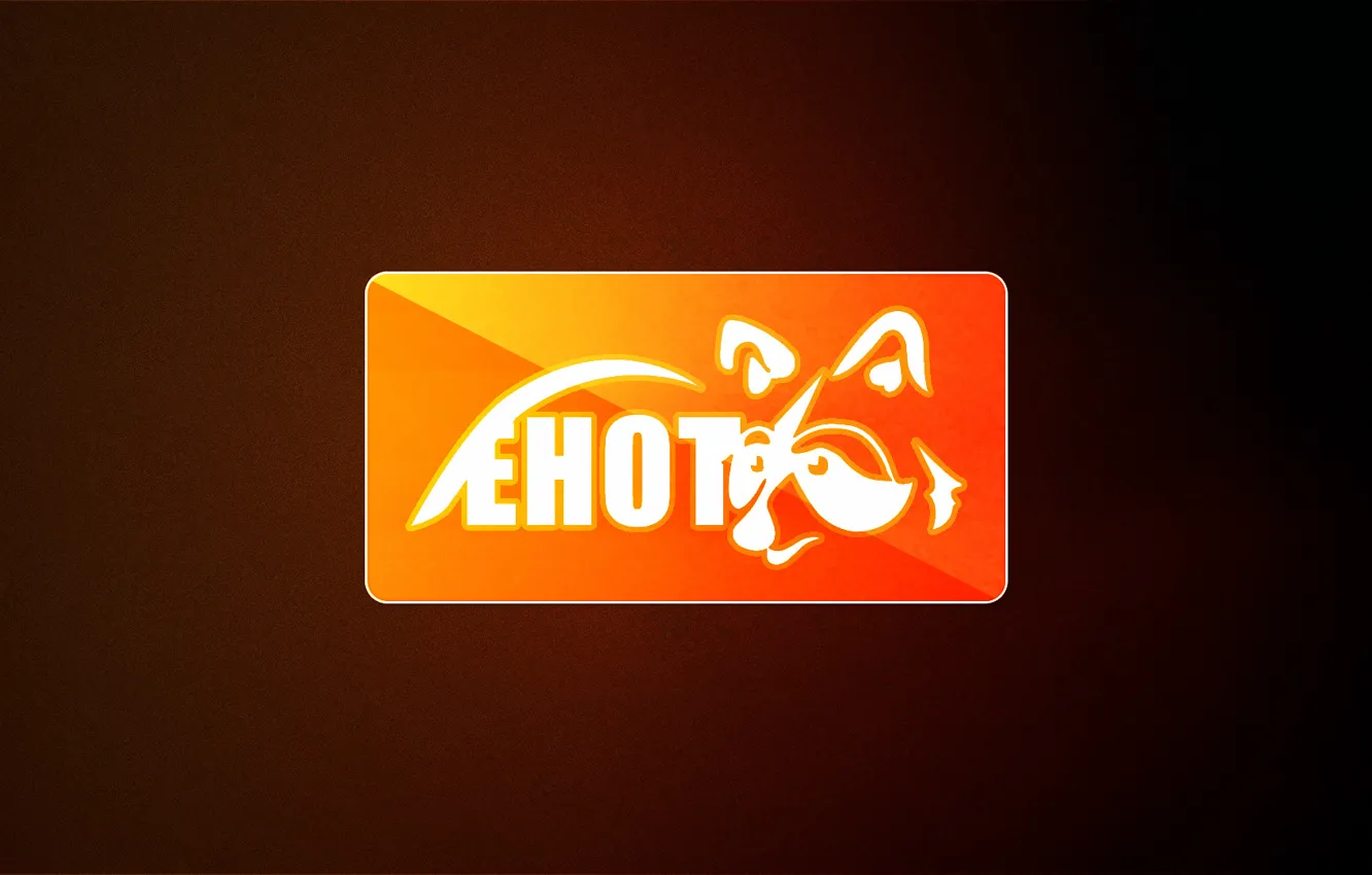 Фото обои брызги, оранжевый, игры, черный, краска, текстура, Команда, Лого