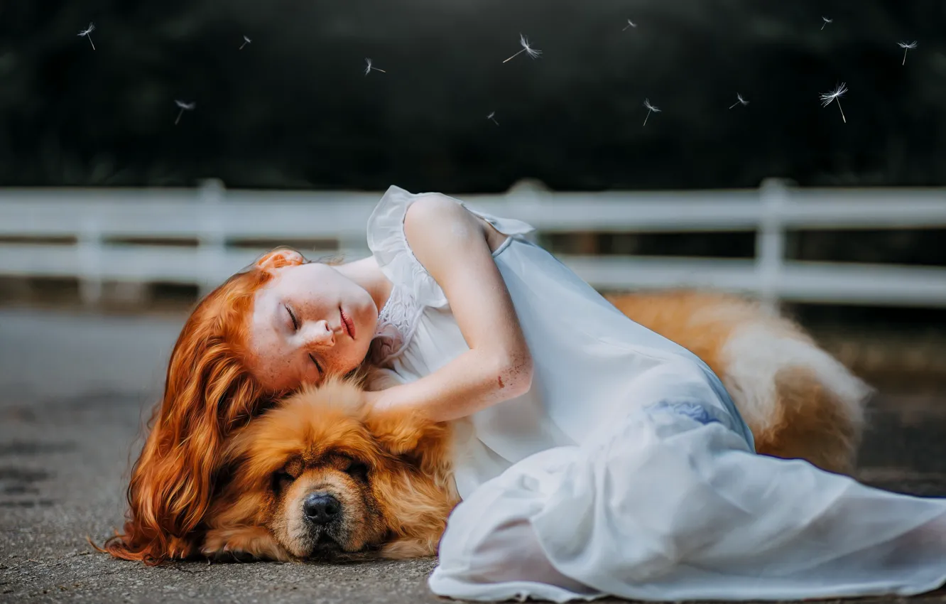Фото обои морда, усталость, игра, сон, собака, ограда, объятия, девочка