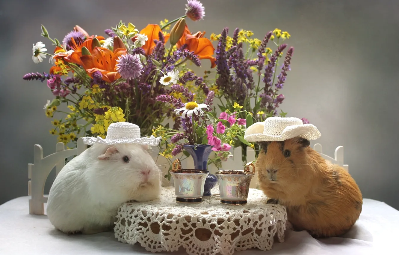 Фото обои цветы, лилия, букет, шляпа, чашка, морская свинка