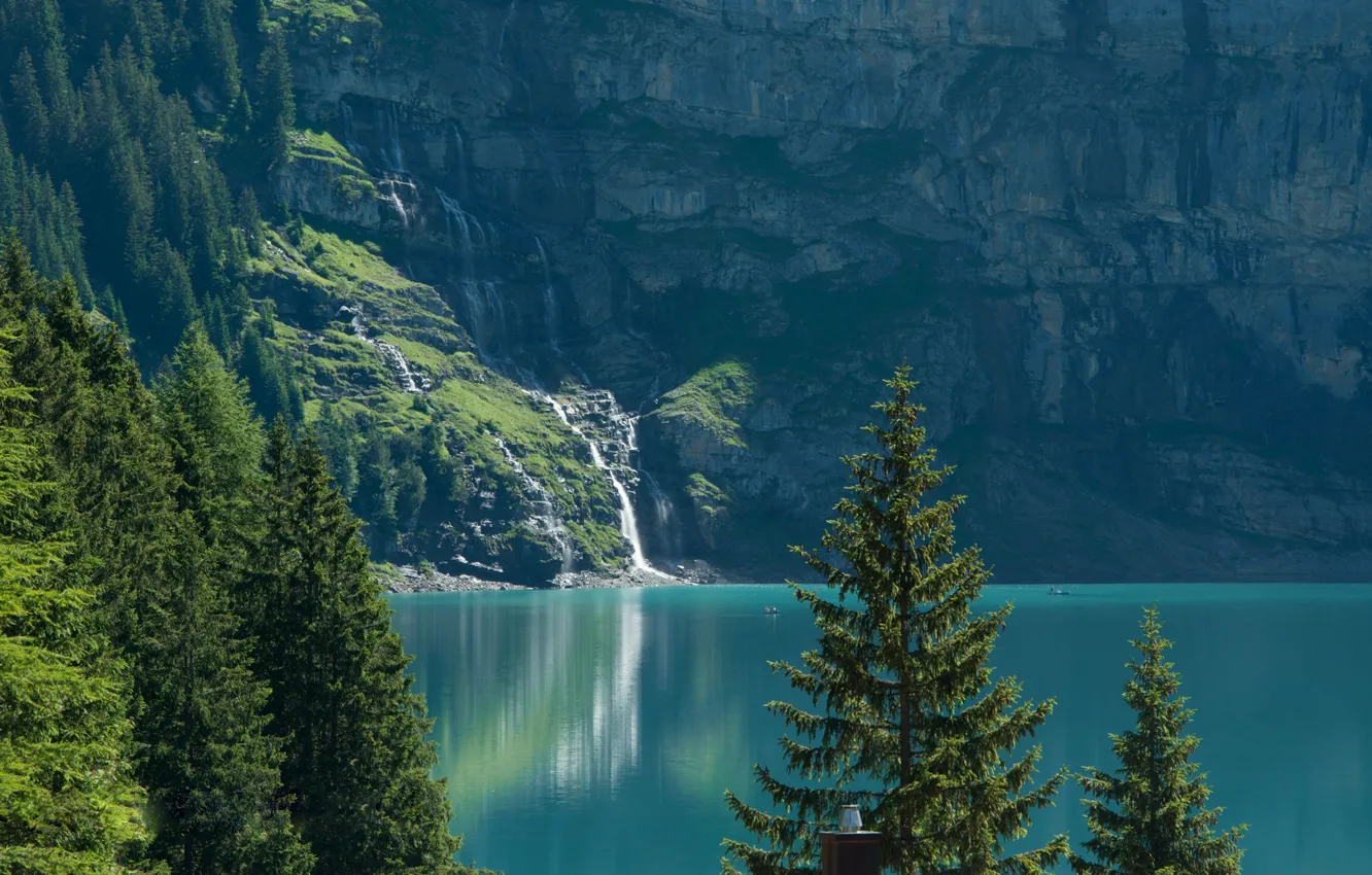 Фото обои деревья, озеро, Швейцария, ели, Switzerland, Bernese Alps, Бернские Альпы, озеро Эшинензе